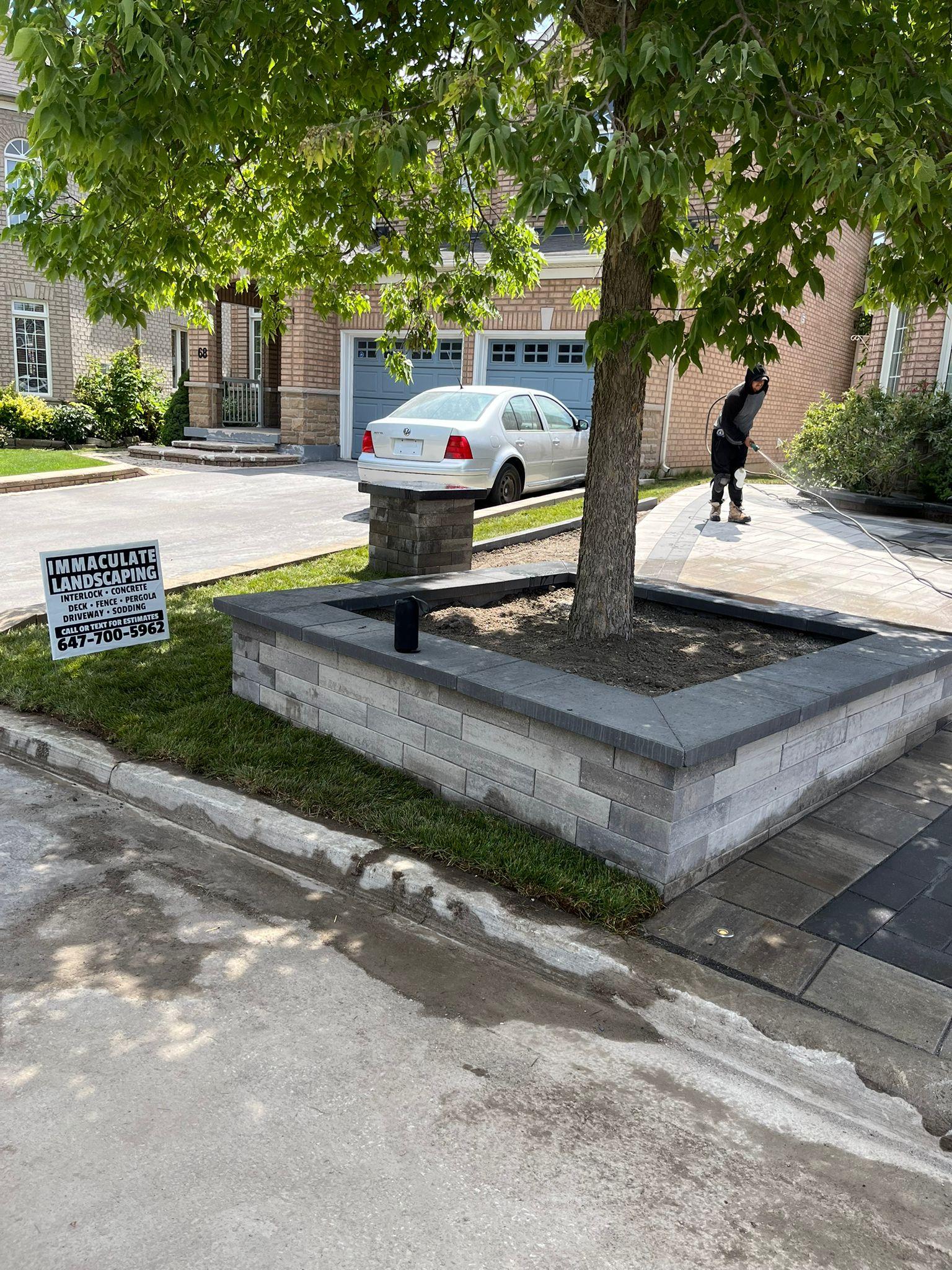 Large Privacy Tree Installation